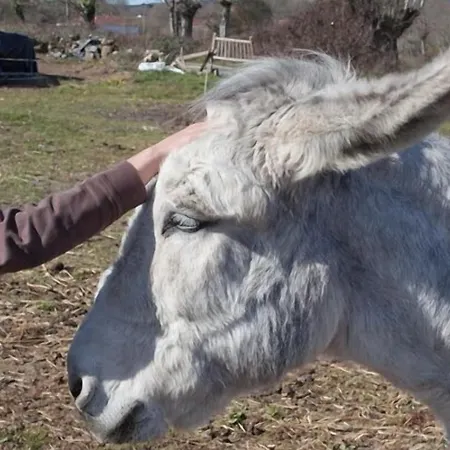 Casa Do Romualdo * Vilela (Taboada)