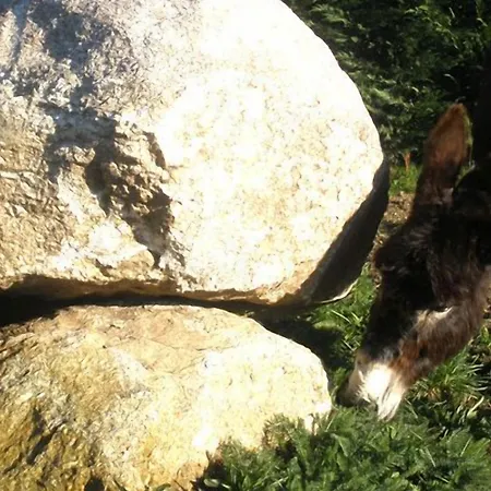 Casa Do Romualdo 컨트리하우스 Vilela (Taboada)