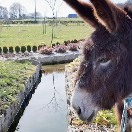 Lantställe Casa Do Romualdo Vilela (Taboada)