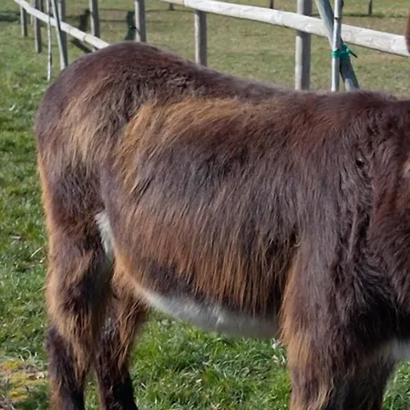 Casa Do Romualdo 컨트리하우스