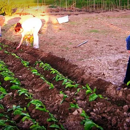Casa Do Romualdo Lantställe *