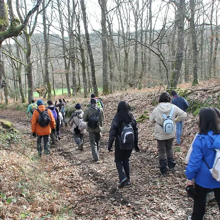 Casa Do Romualdo 컨트리하우스
