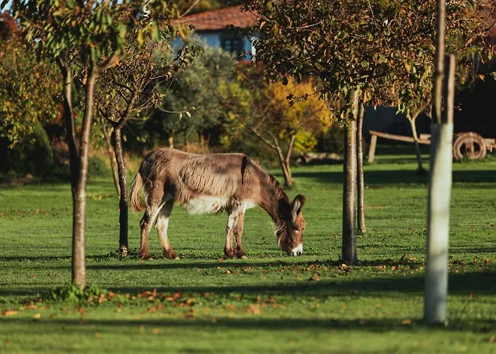 Casa Do Romualdo Vilela (Taboada)