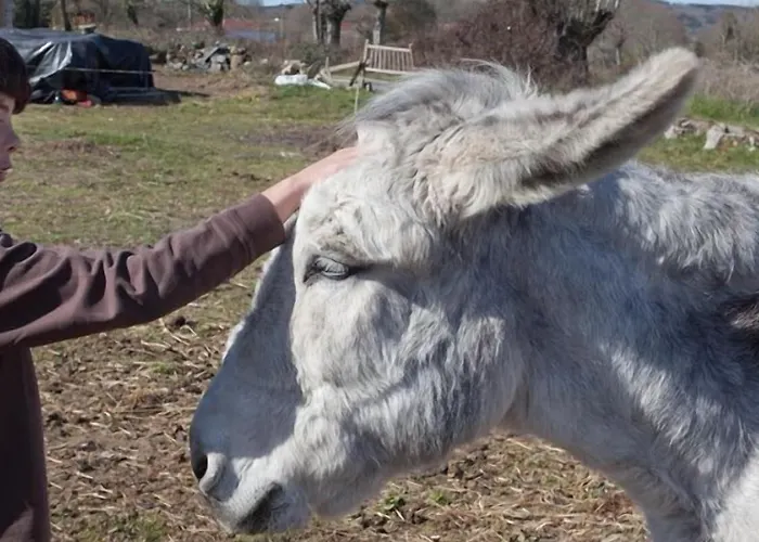 Casa Do Romualdo * Vilela