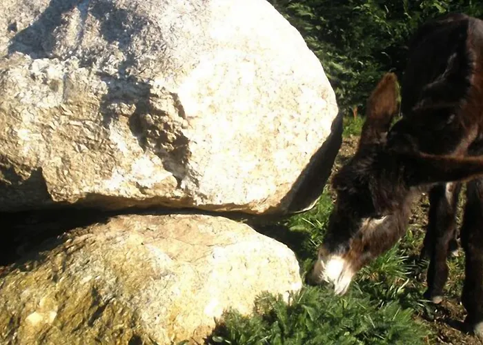 Casa Do Romualdo Hétvégi ház Vilela