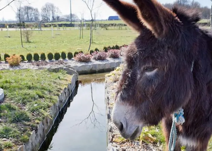 Hétvégi ház Casa Do Romualdo Vilela