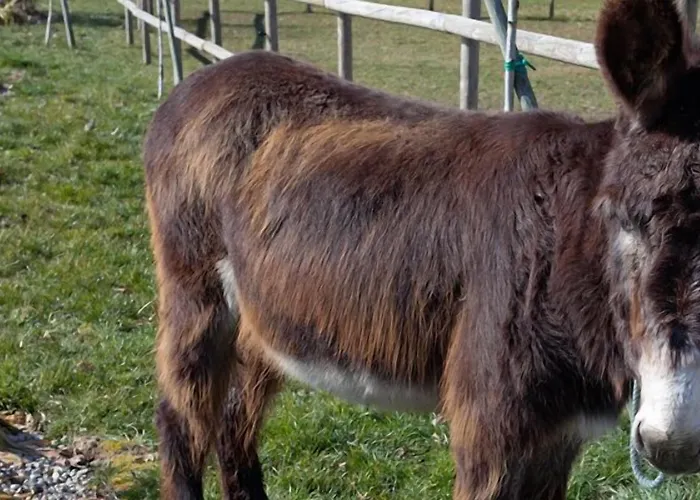 Casa Do Romualdo Летний дом
