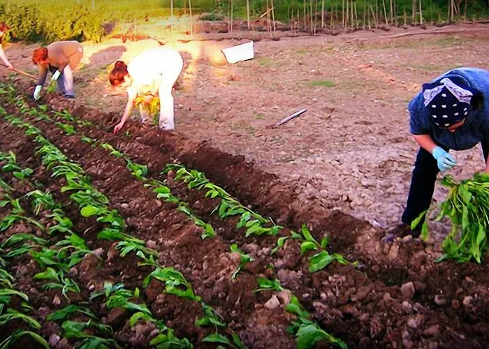 Casa Do Romualdo Летний дом *