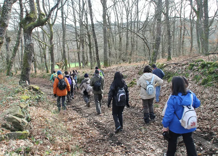 Casa Do Romualdo Летний дом